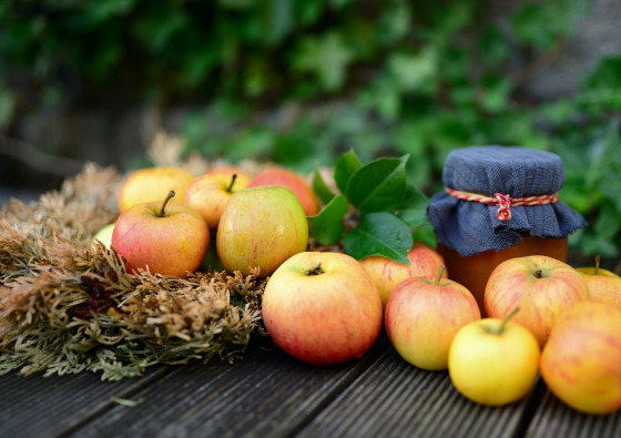 Johannisbeere rot Aufstrich im Glas